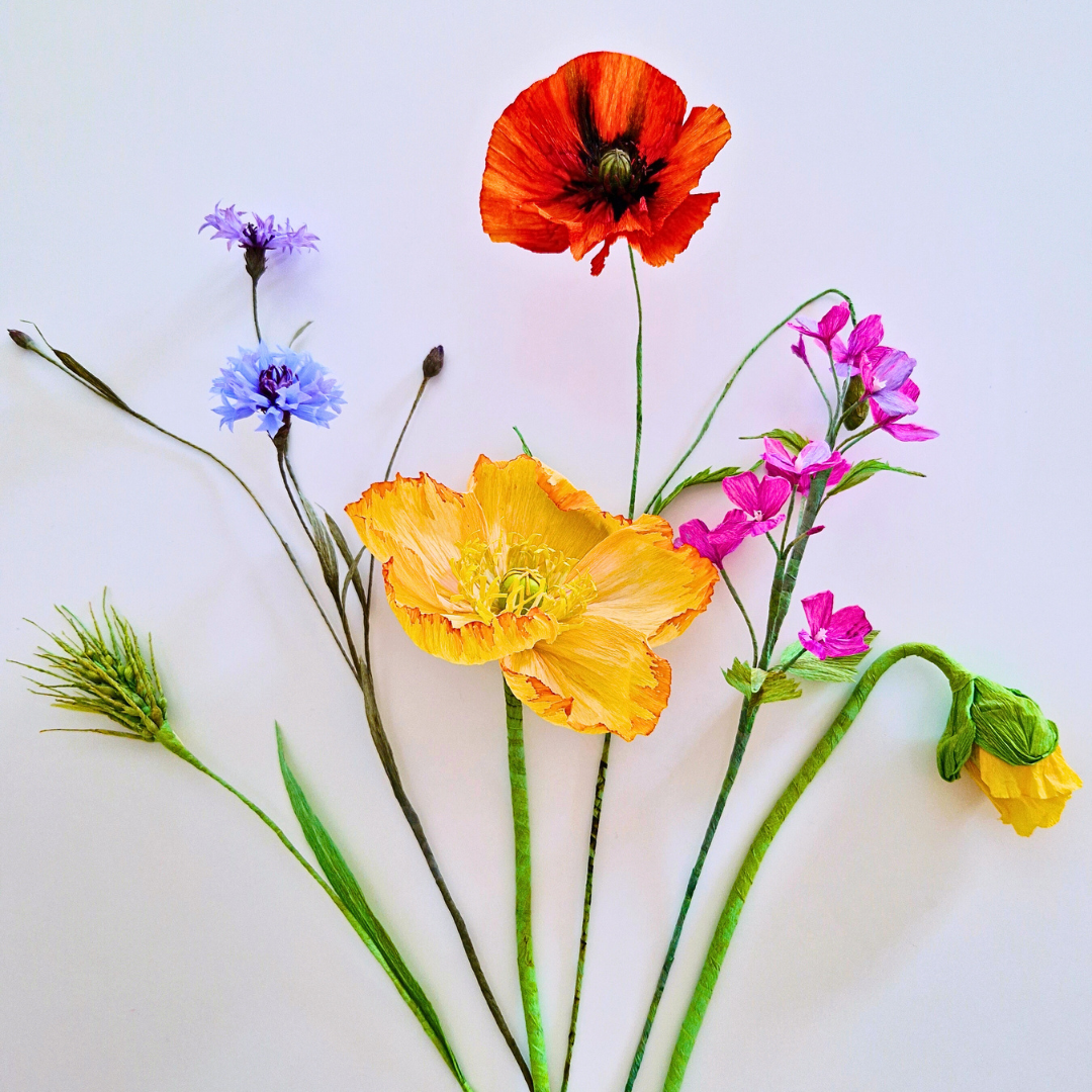 Crepepapirsblomster for begyndere: Vilde Sommerblomster